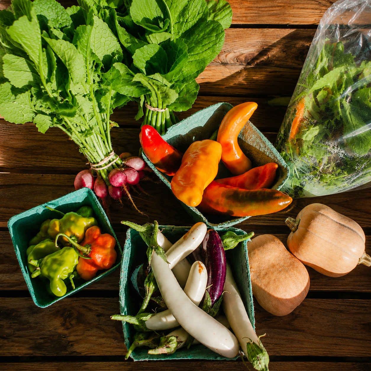 Fresh seasonal vegetables from Serenbe Farms Fall 2026 CSA Share
